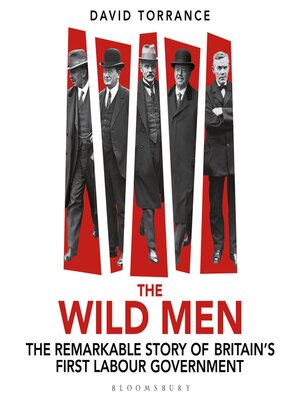 cover image of The Wild Men